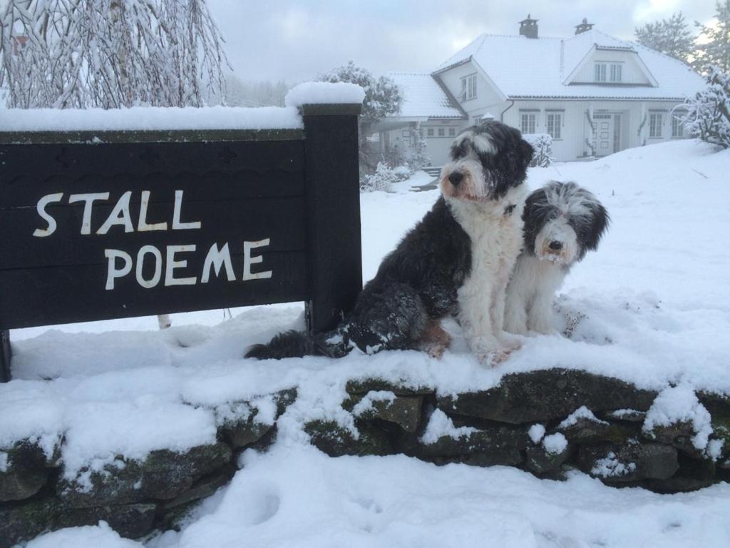 Stall Poeme Kodal Exterior foto